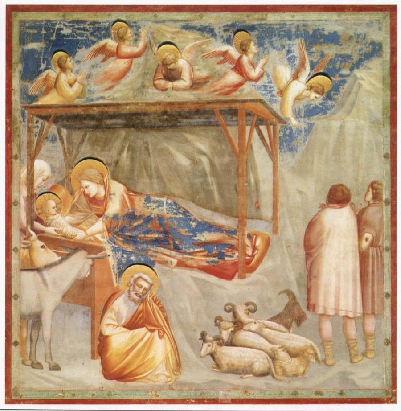 GIOTTO di Bondone Birth of Christ France oil painting art